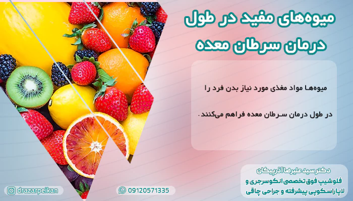 میوه های مفید برای سرطان معده میوه های مفید برای سرطان معده کدام اند؟