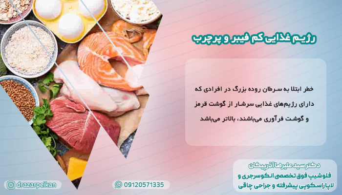 رژیم غذایی کم فیبر و پرچرب رژیم غذایی کم فیبر و پرچرب