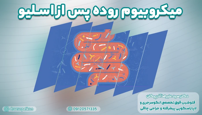 میکروبیوم روده پس از اسلیو؛ مهره کلیدی در پایداری کاهش وزن