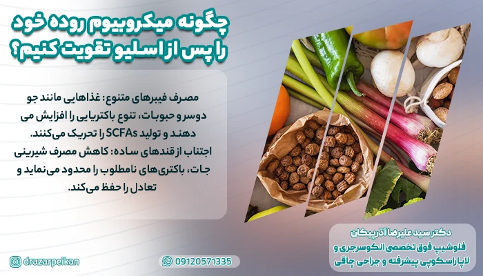 چگونه میکروبیوم روده خود را پس از اسلیو تقویت کنیم؟