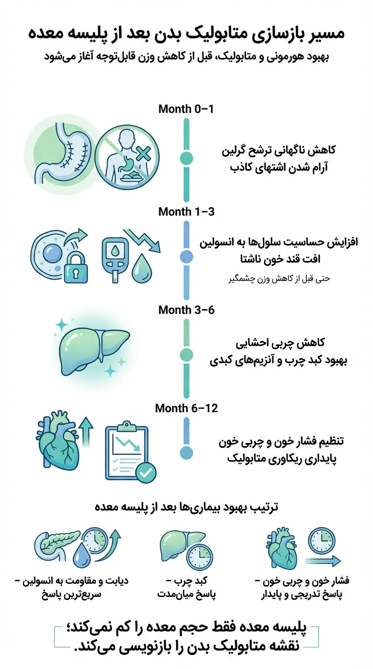 اینفوگرافیک تاثیر پلیسه معده بر بیماری های متابولیک